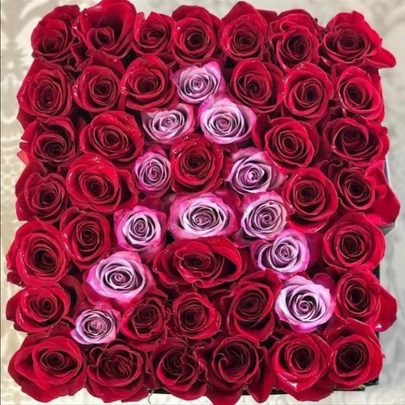 Meet your Posher, Arianna - Picture 1 of 1